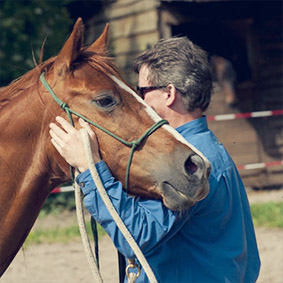 Jan Sjöcrona - Trusting Horses