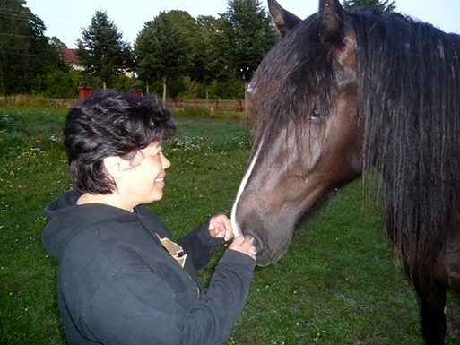 Jan Sjöcrona - Trusting Horses